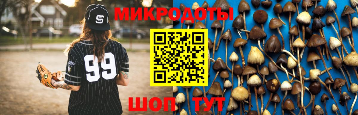 Чехов  Галлюциногенные грибы Psilocybe  Псилоцибиновые грибы MAGIC MUSHROOMS  Вход с VPN 
